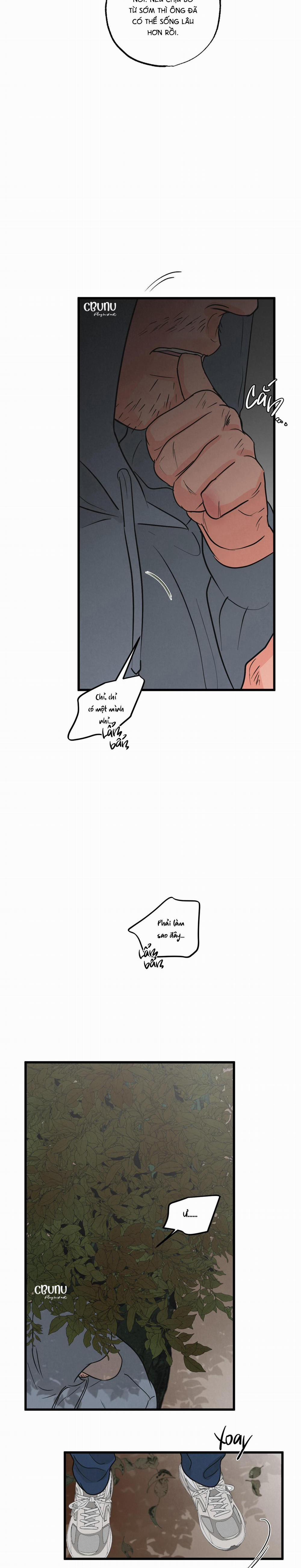 Cặp Bài Trùng 1 trang 3