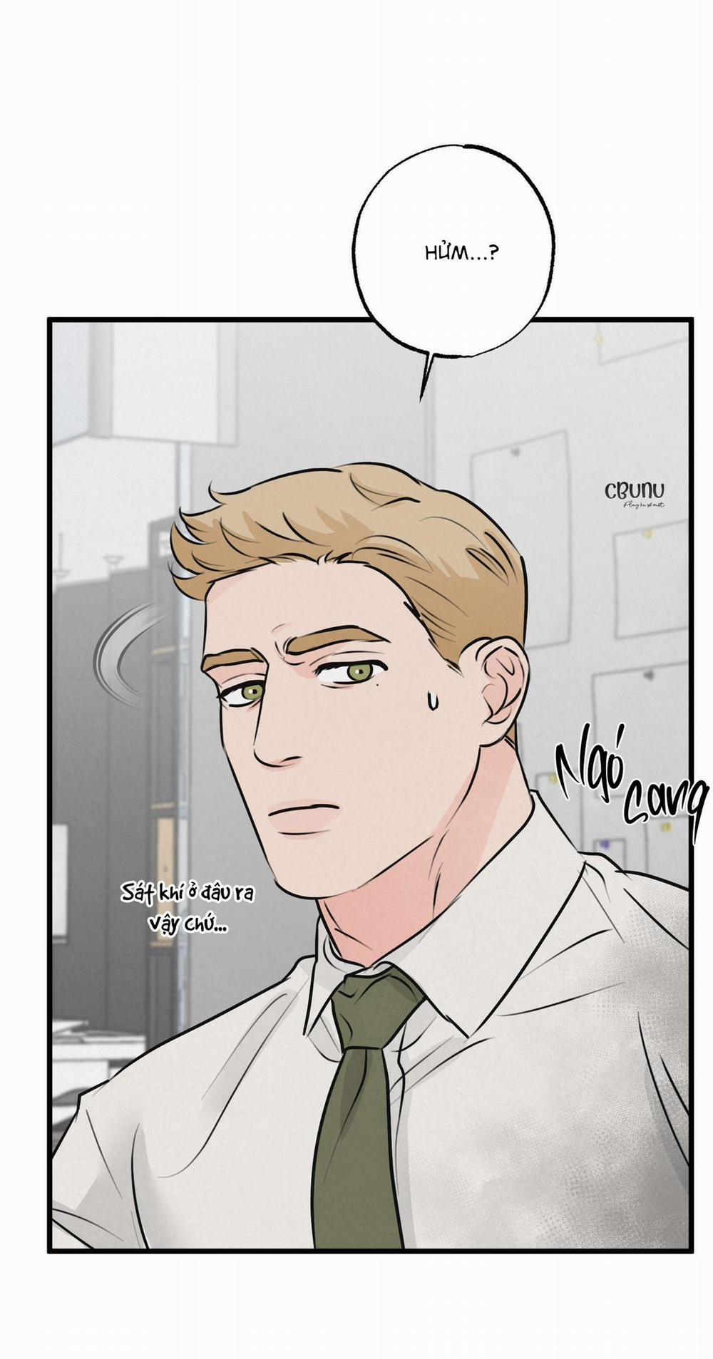 Cặp Bài Trùng 11 trang 12