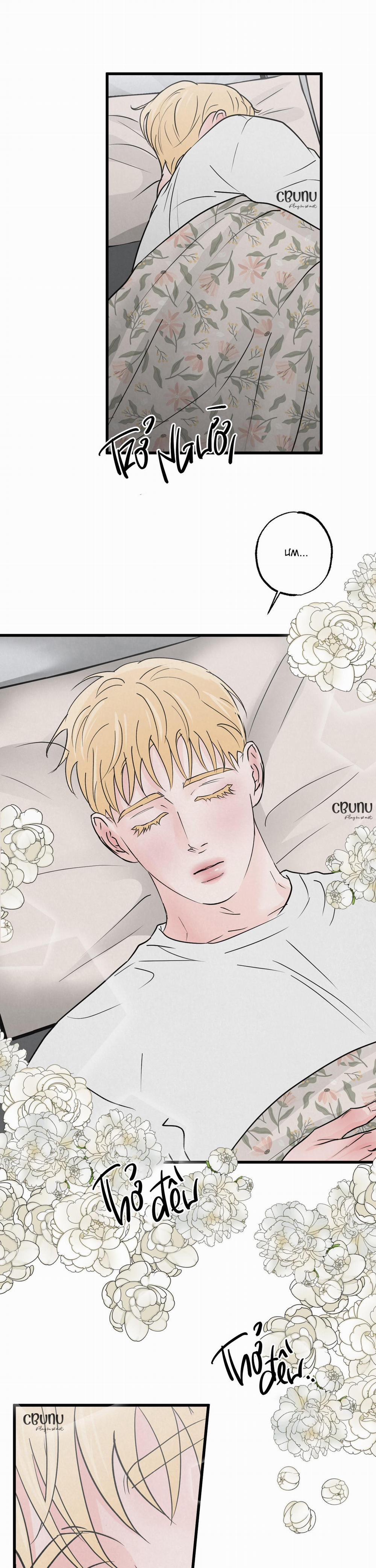 Cặp Bài Trùng 3 trang 11