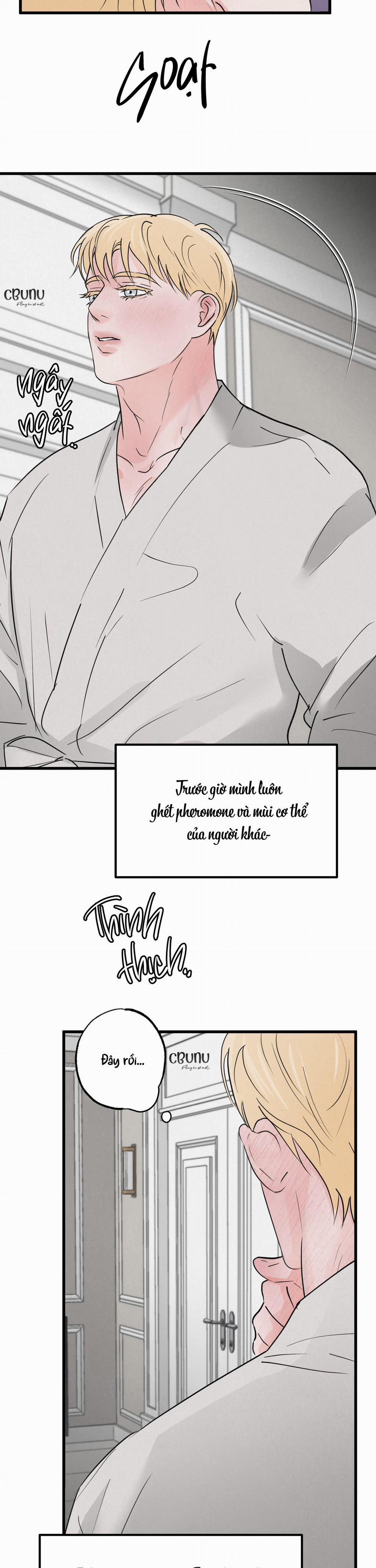 Cặp Bài Trùng 4 trang 13