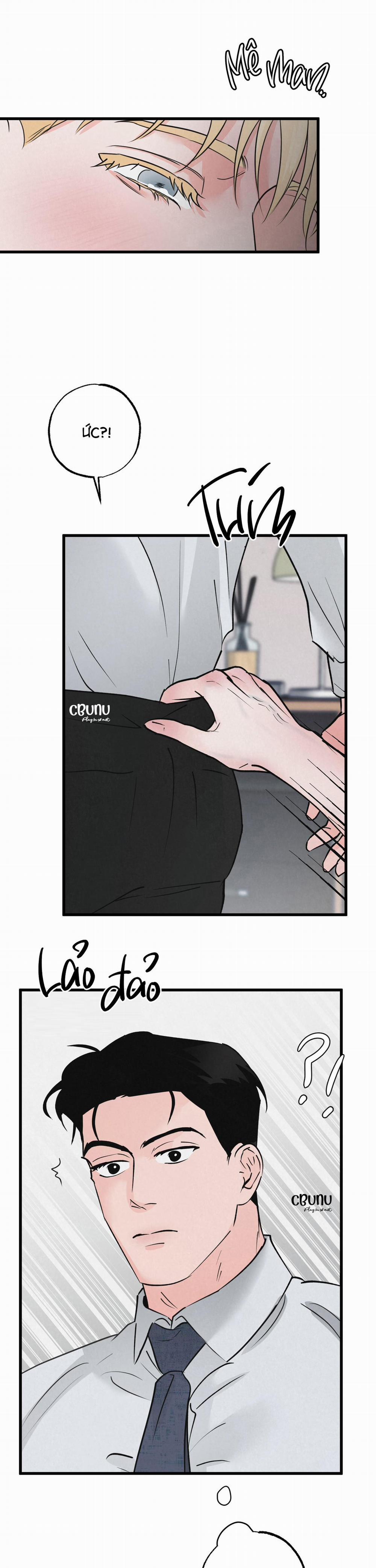 Cặp Bài Trùng 5 trang 16