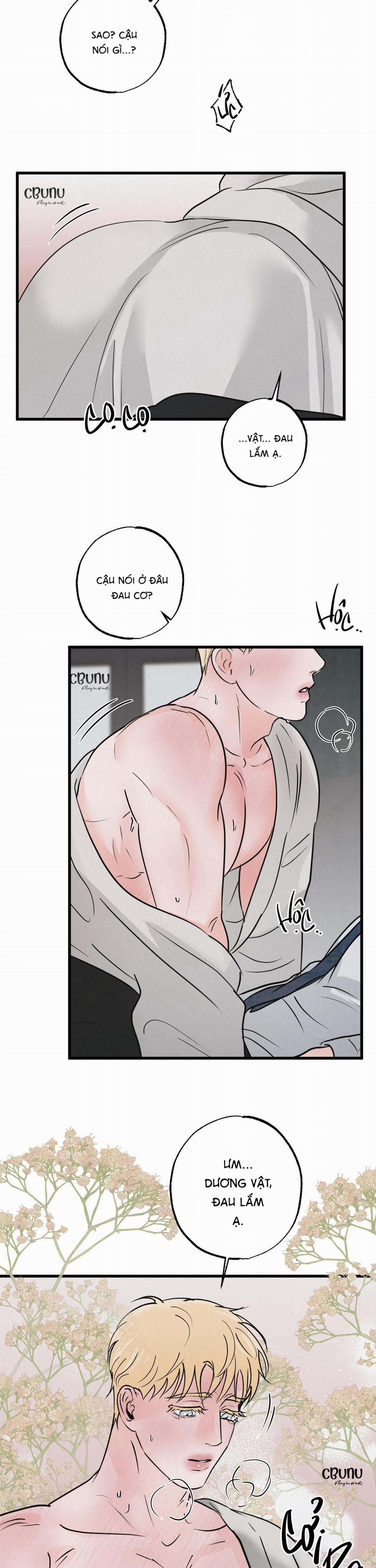 Cặp Bài Trùng 5 trang 19