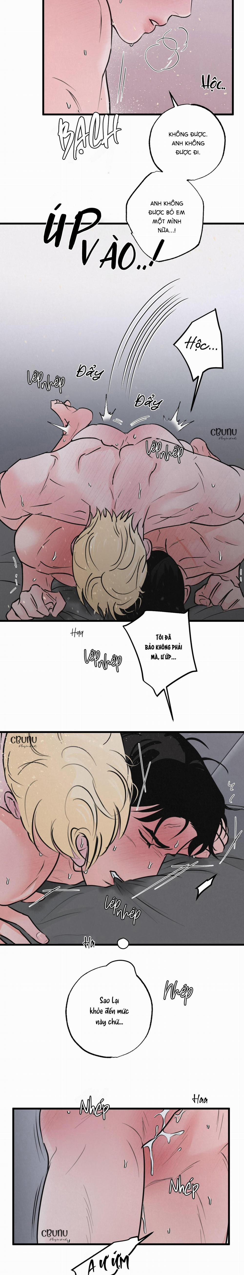 Cặp Bài Trùng 6 trang 15