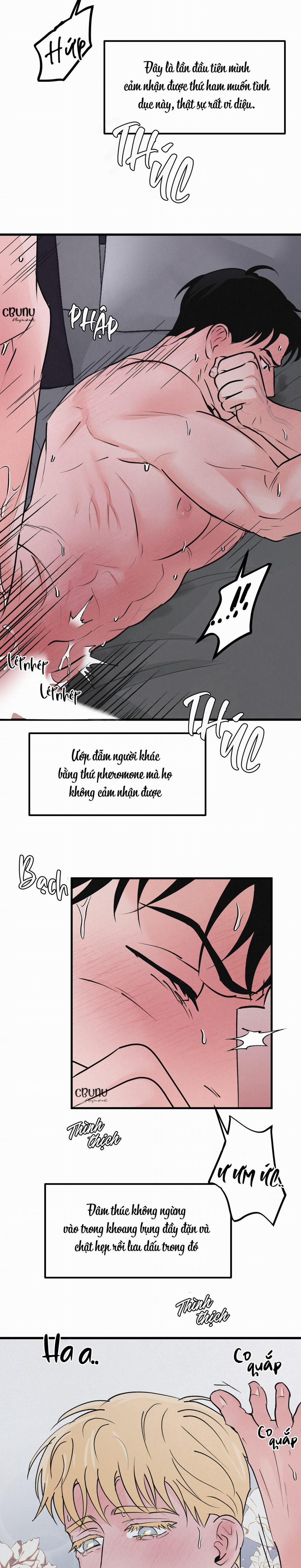 Cặp Bài Trùng 6 trang 9