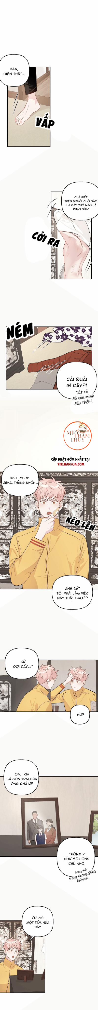 Cặp Đôi Điên Rồ 11 trang 0