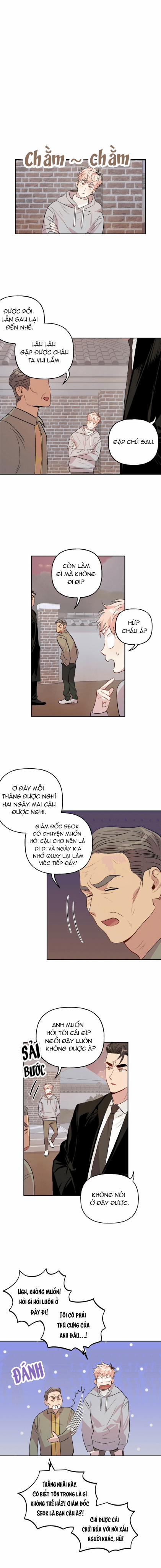 Cặp Đôi Điên Rồ 13 trang 0