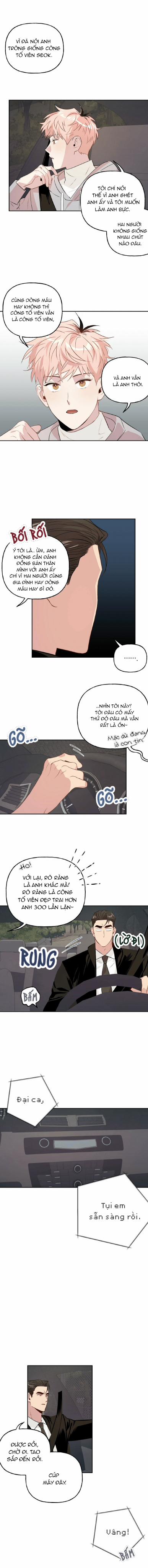 Cặp Đôi Điên Rồ 14 trang 4