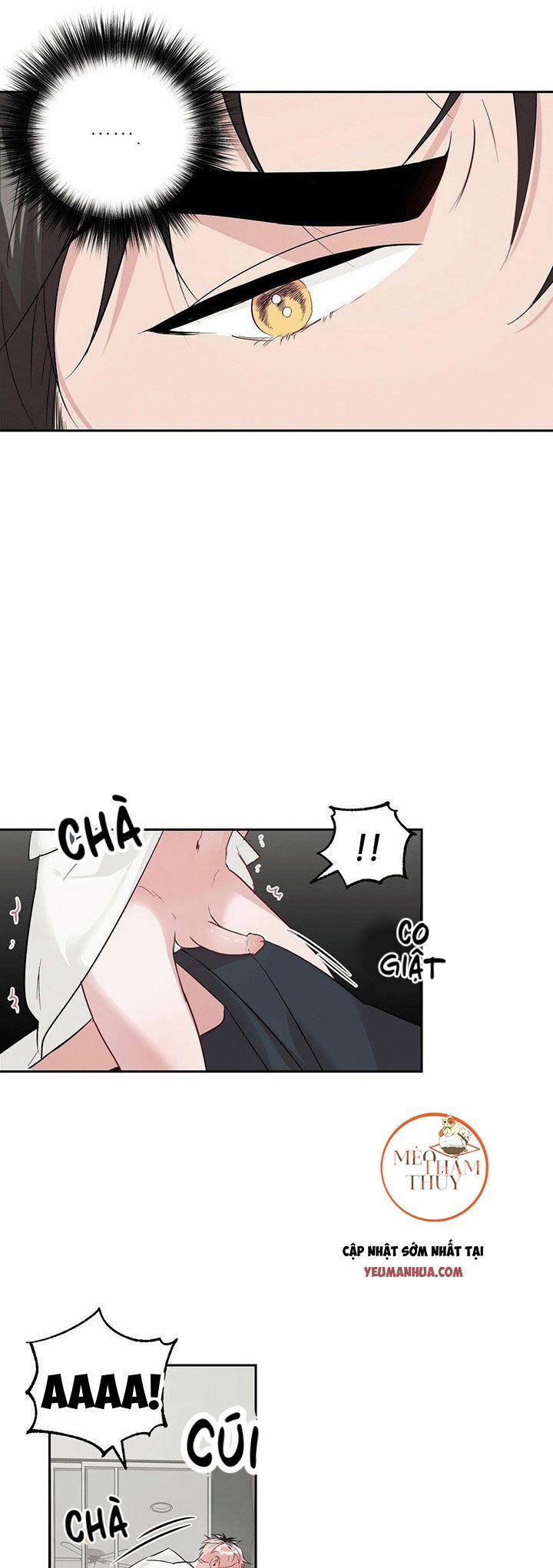 Cặp Đôi Điên Rồ 16 trang 10