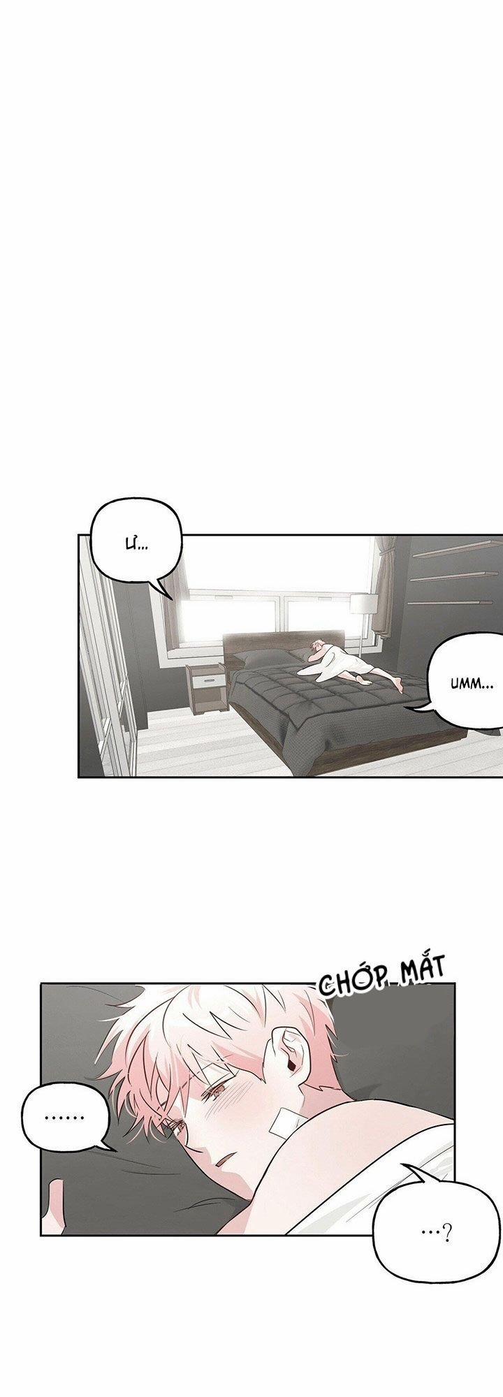 Cặp Đôi Điên Rồ 16 trang 29