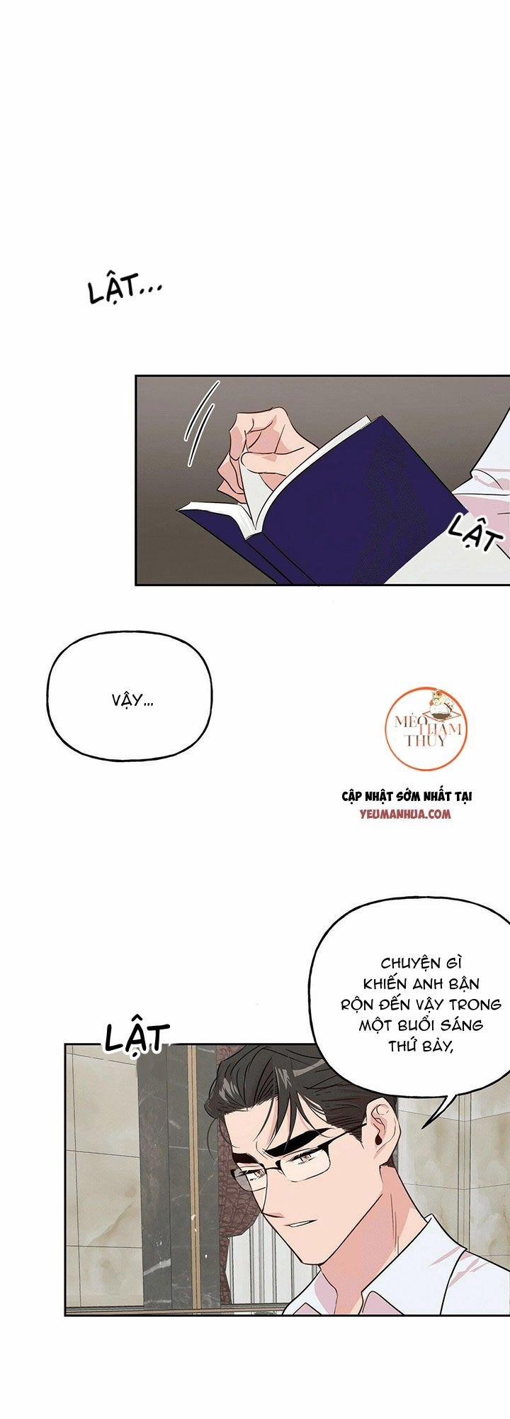 Cặp Đôi Điên Rồ 17 trang 0