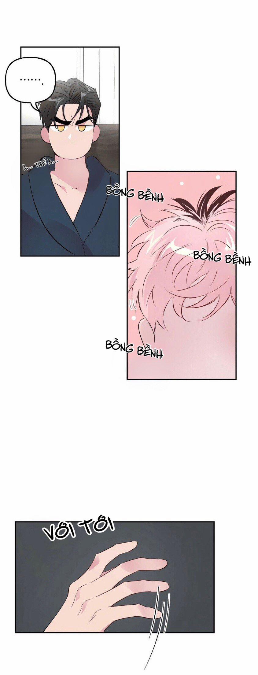 Cặp Đôi Điên Rồ 21 trang 2