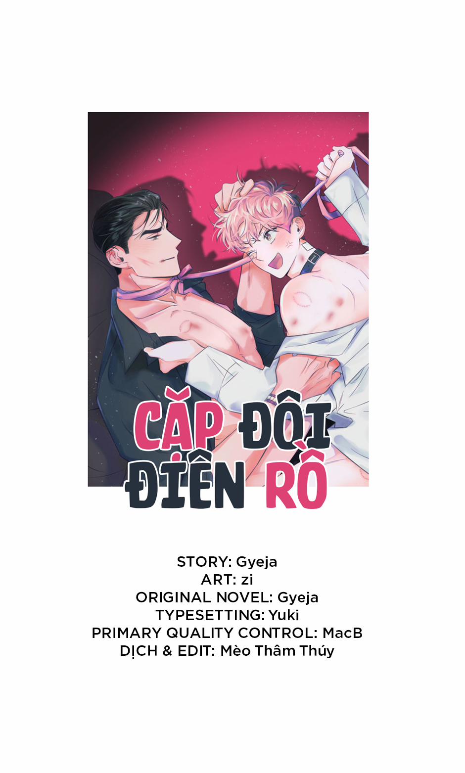 Cặp Đôi Điên Rồ 23 trang 0