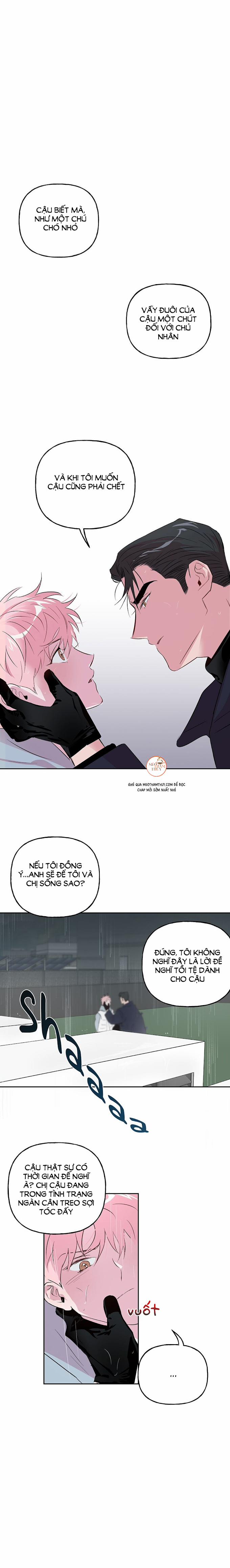 Cặp Đôi Điên Rồ 24 trang 0