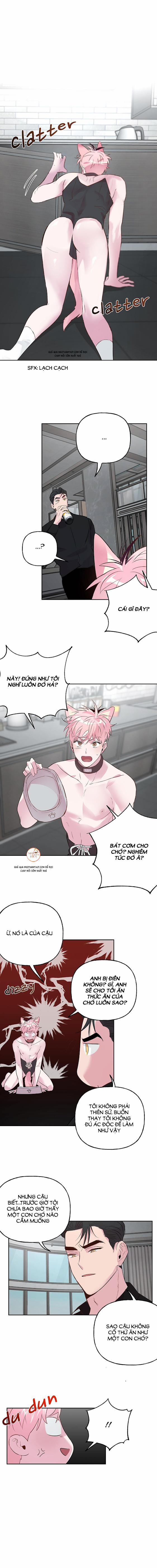 Cặp Đôi Điên Rồ 24 trang 10