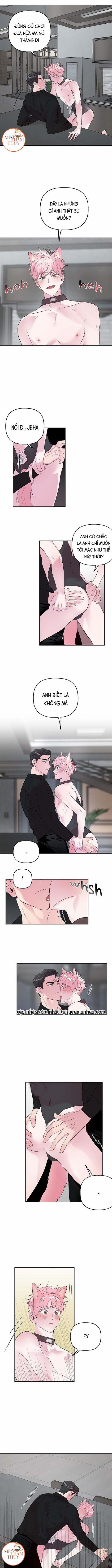 Cặp Đôi Điên Rồ 25 trang 0