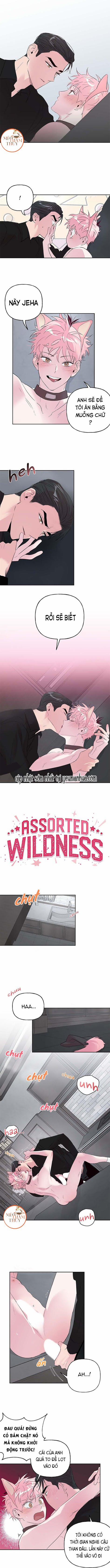 Cặp Đôi Điên Rồ 25 trang 1