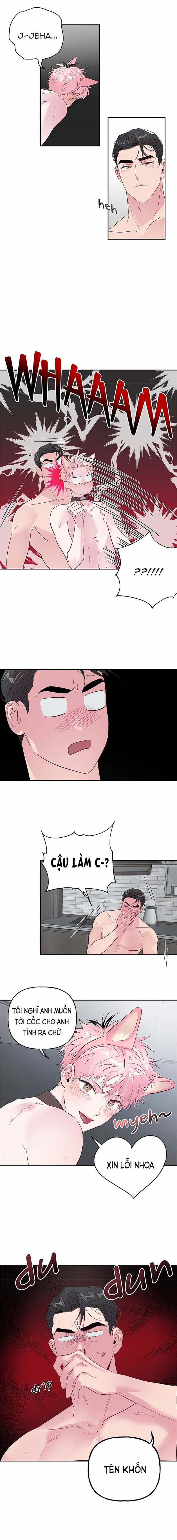 Cặp Đôi Điên Rồ 25 trang 6