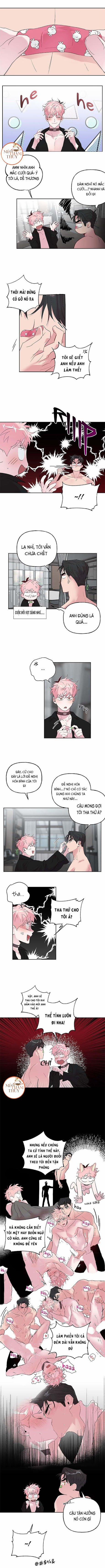 Cặp Đôi Điên Rồ 26 trang 0