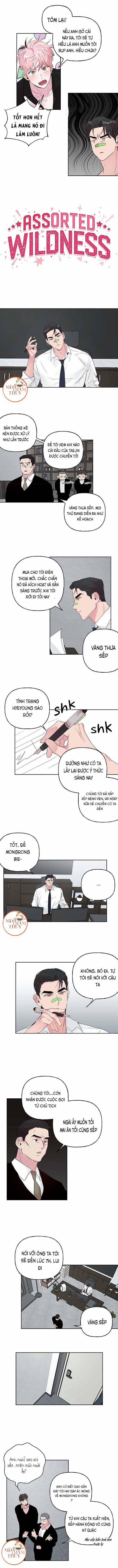 Cặp Đôi Điên Rồ 26 trang 1