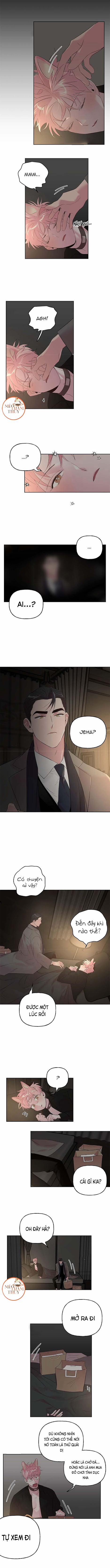 Cặp Đôi Điên Rồ 26 trang 3