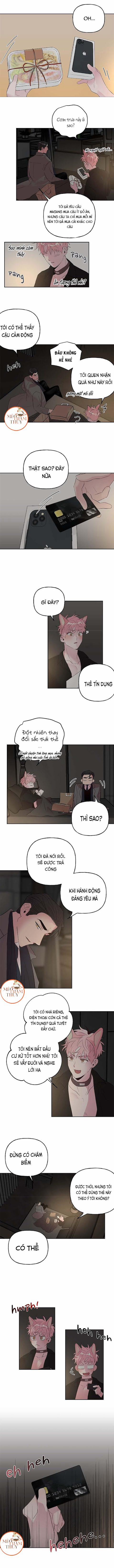 Cặp Đôi Điên Rồ 26 trang 4