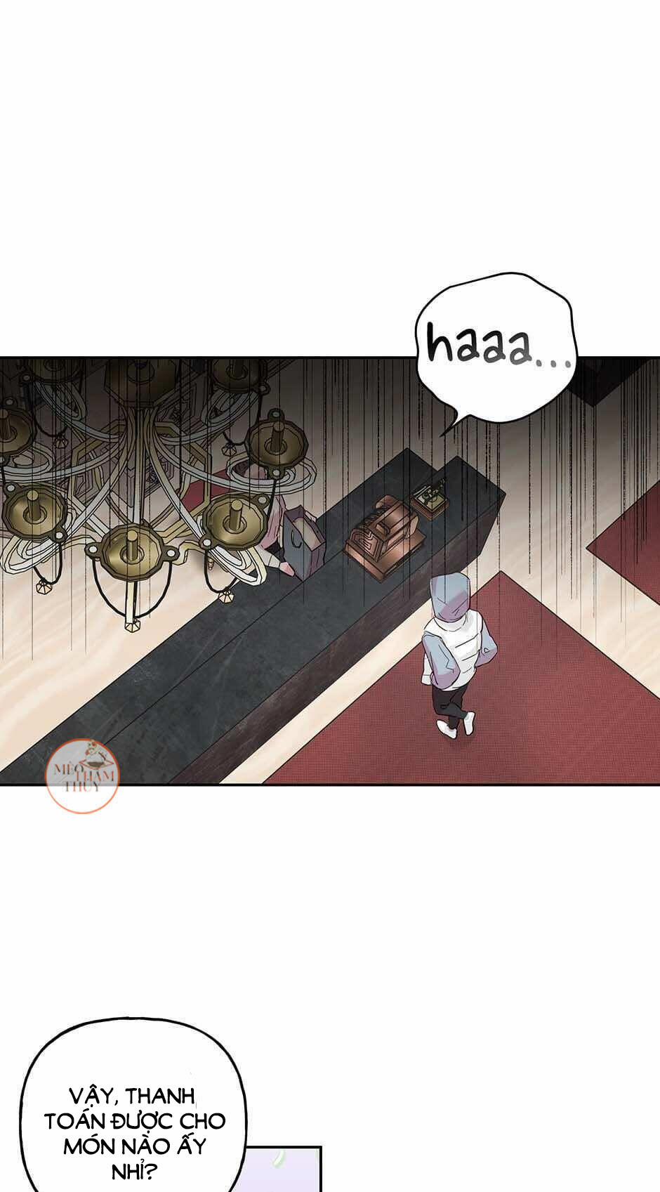 Cặp Đôi Điên Rồ 28 trang 0