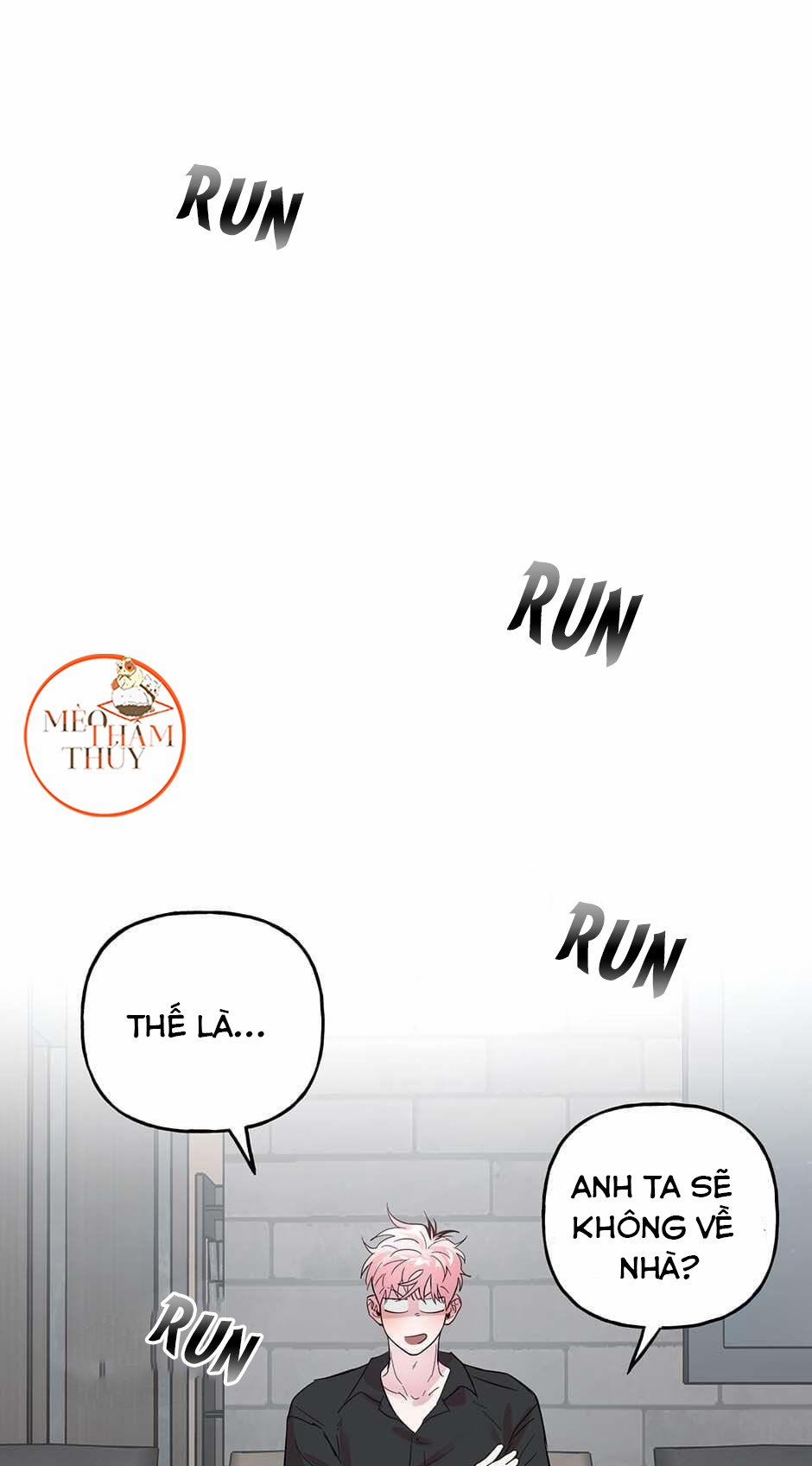 Cặp Đôi Điên Rồ 29 trang 0