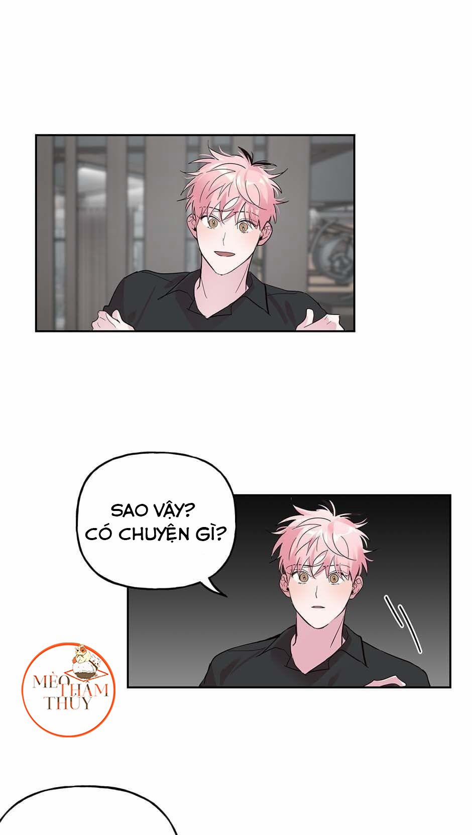 Cặp Đôi Điên Rồ 29 trang 11