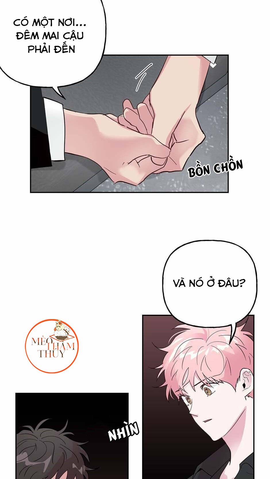 Cặp Đôi Điên Rồ 29 trang 12