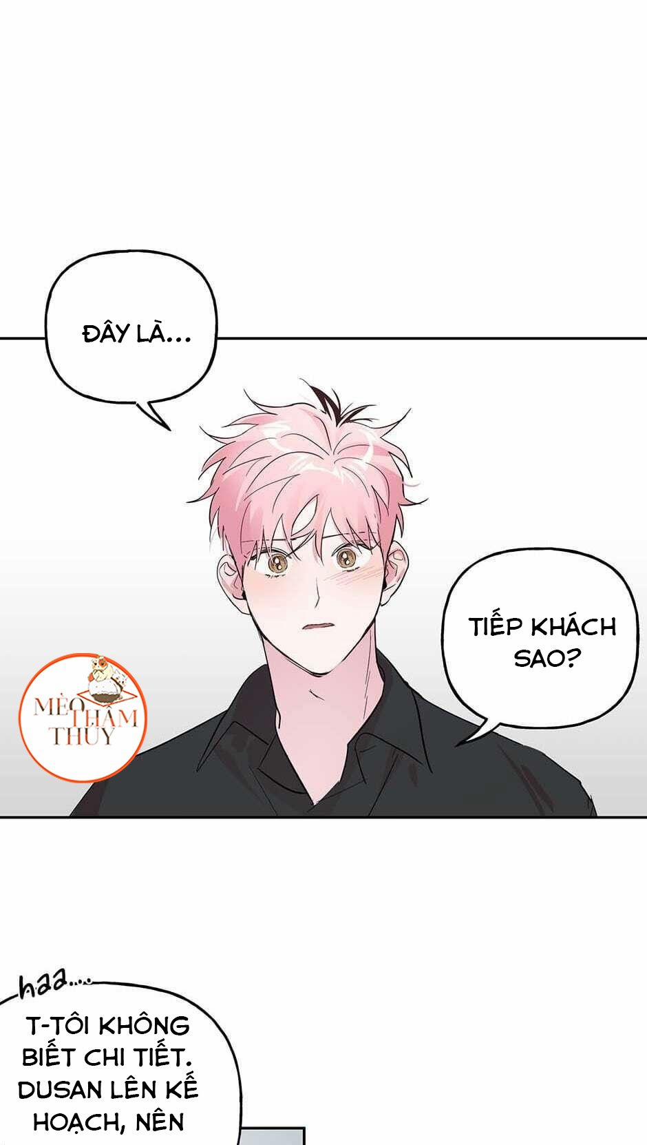 Cặp Đôi Điên Rồ 29 trang 14