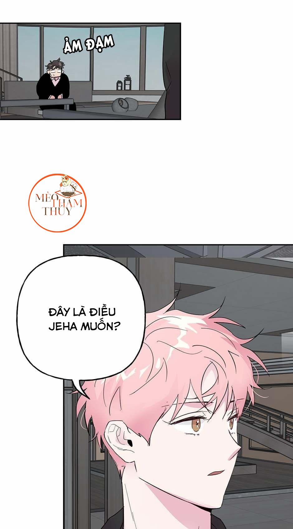 Cặp Đôi Điên Rồ 29 trang 16