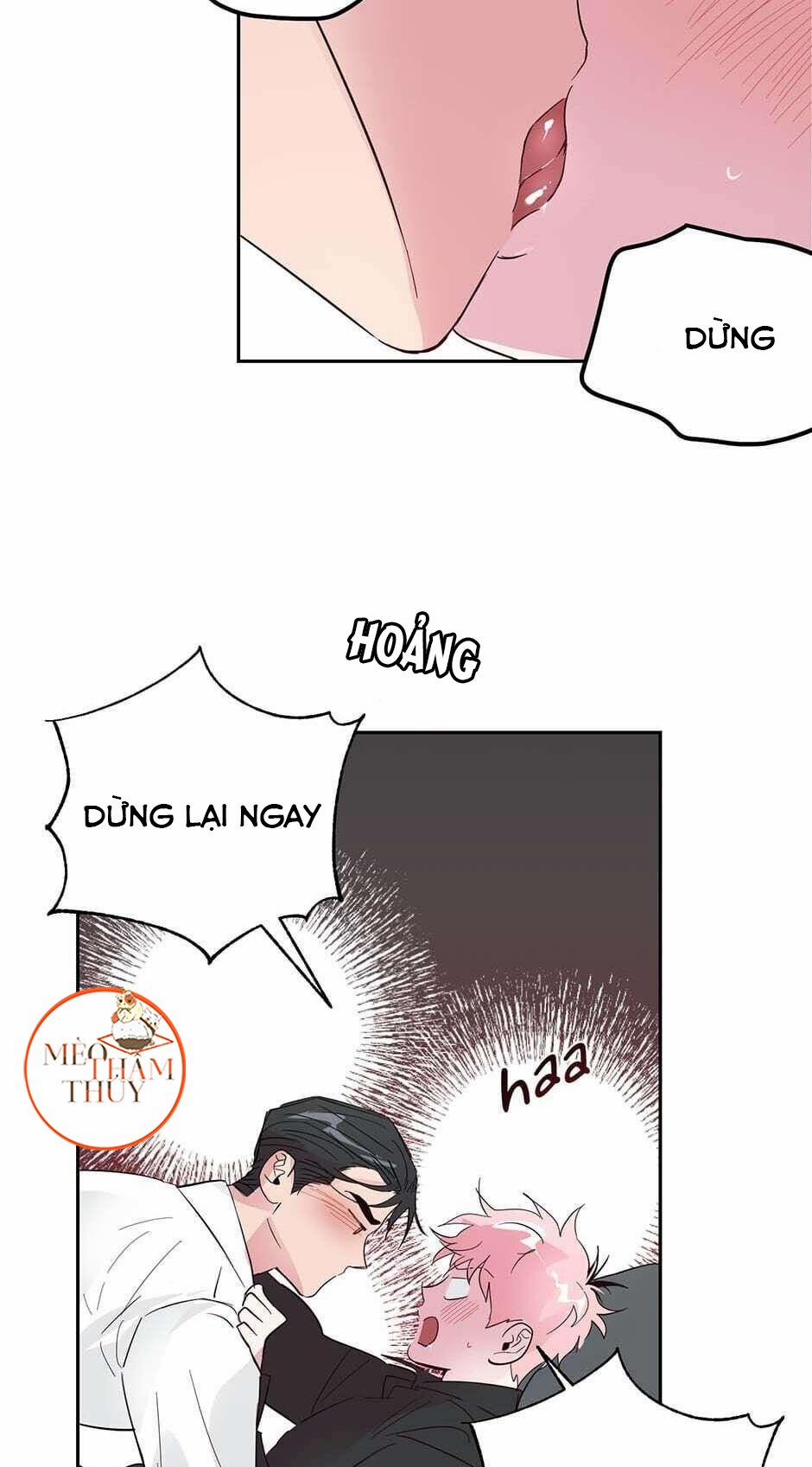 Cặp Đôi Điên Rồ 29 trang 40