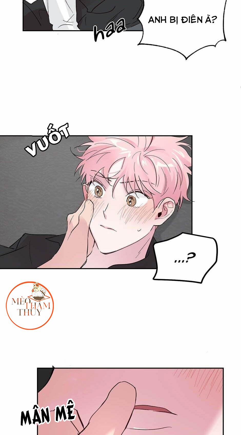 Cặp Đôi Điên Rồ 29 trang 41