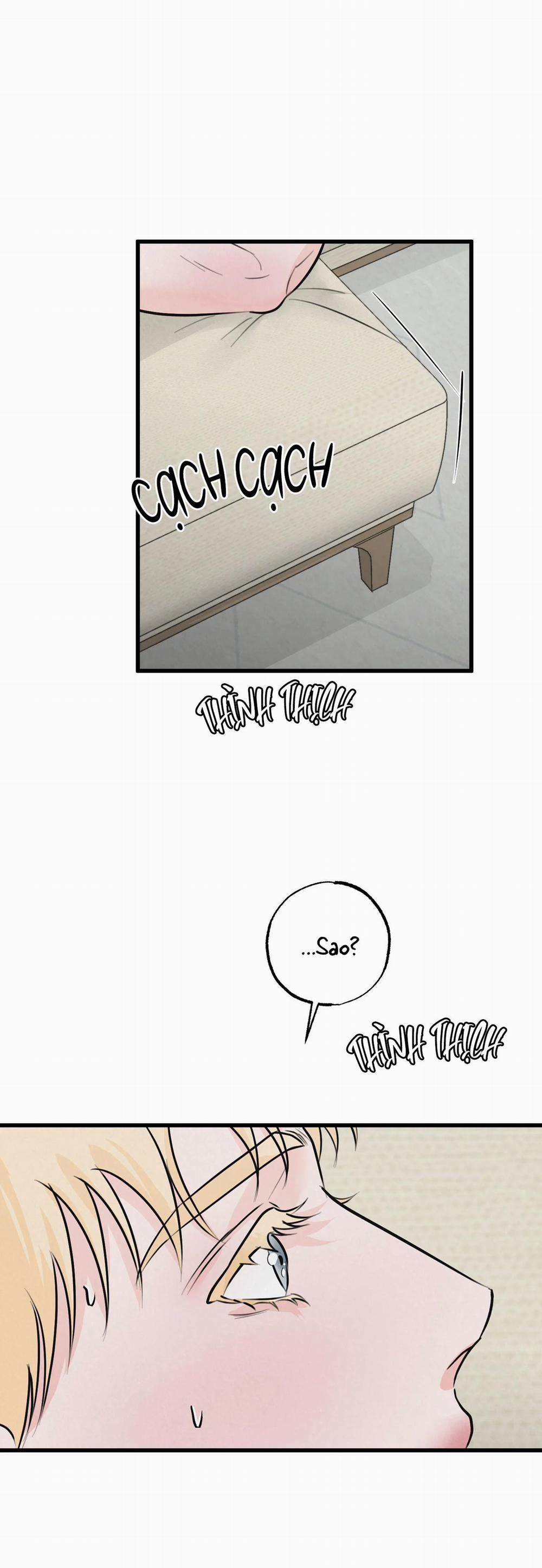 Cặp Đôi Hoàn Hảo 10 trang 1