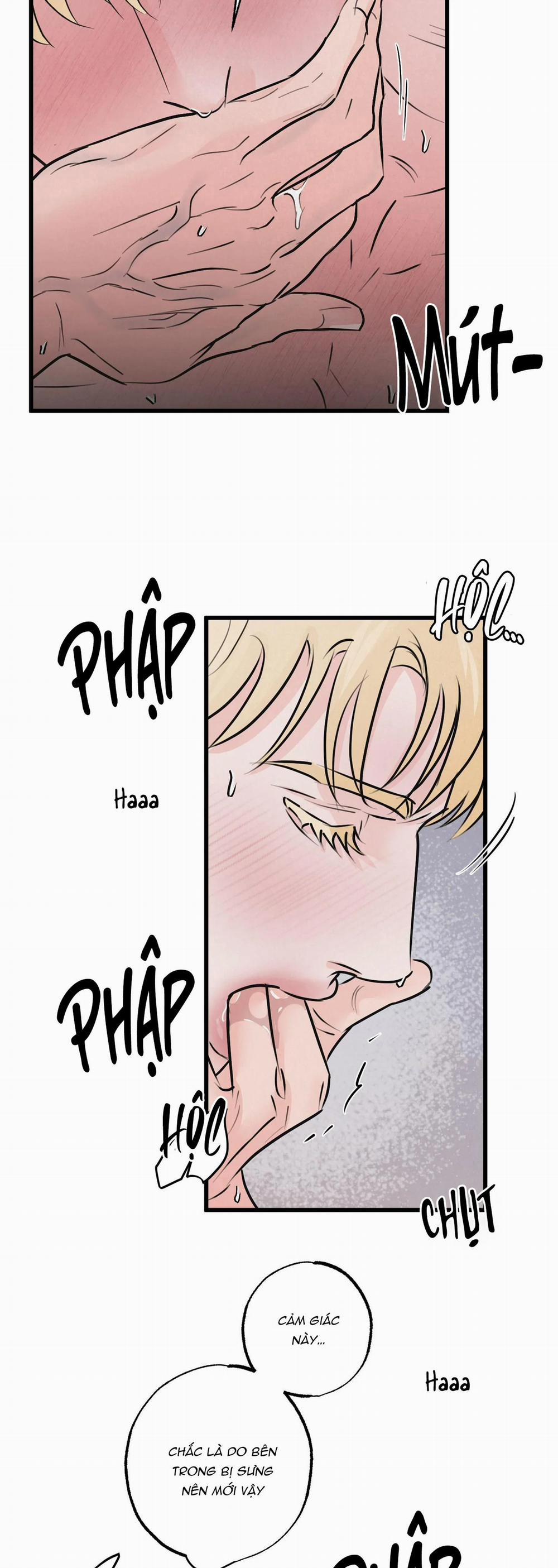 Cặp Đôi Hoàn Hảo 10 trang 17