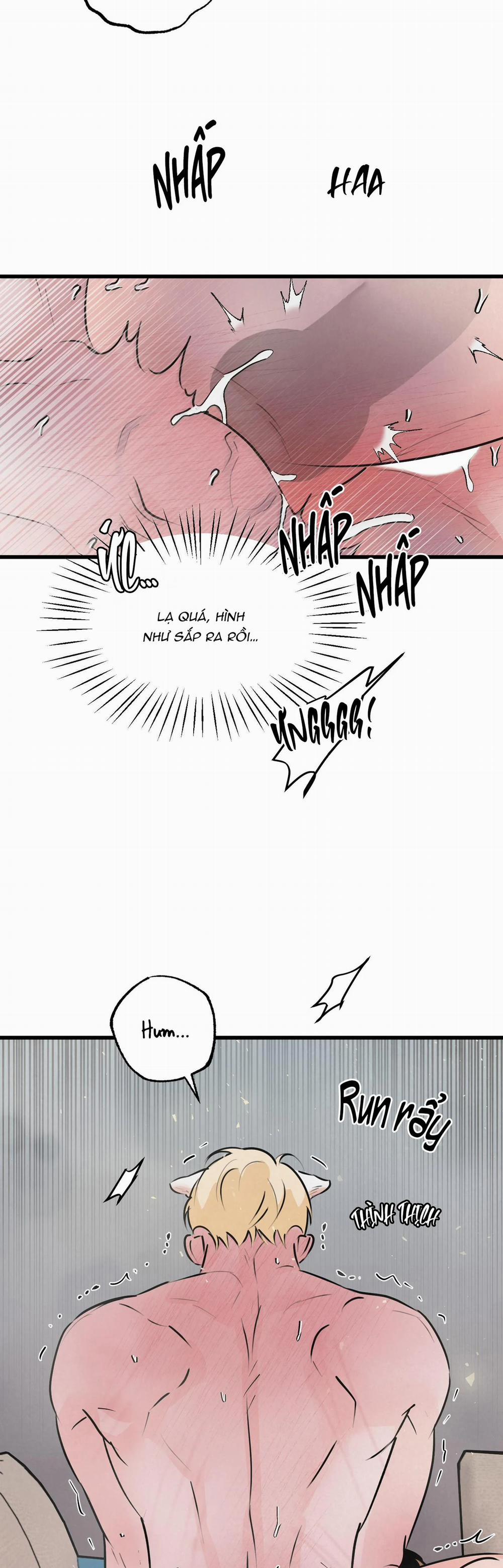 Cặp Đôi Hoàn Hảo 10 trang 23