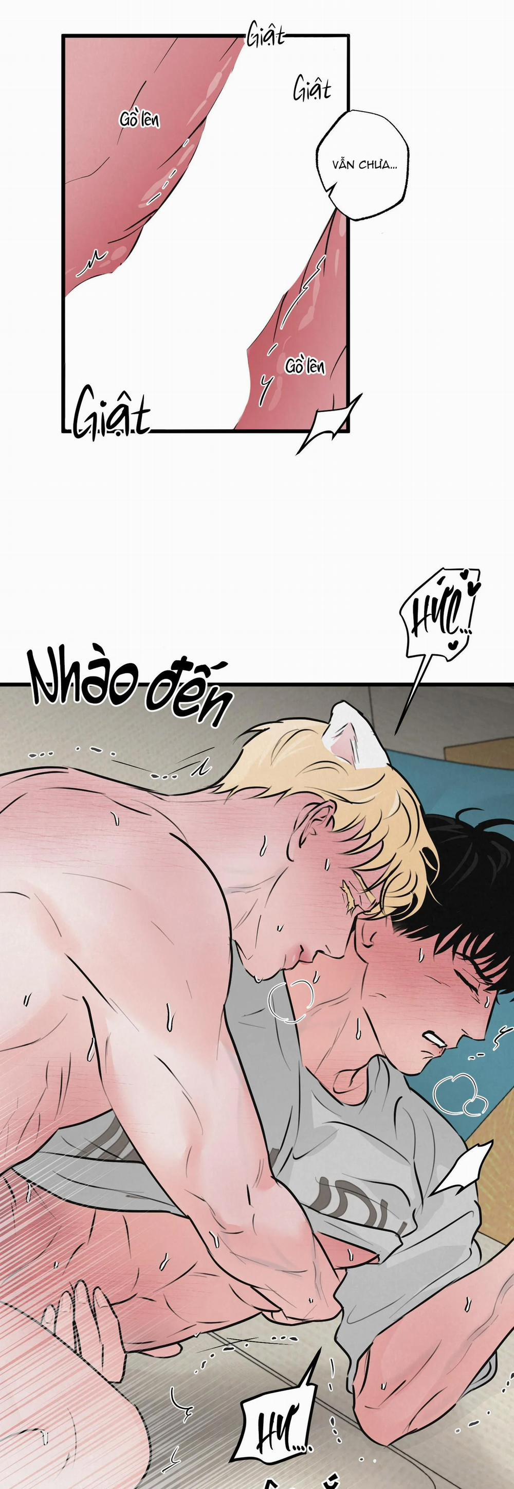 Cặp Đôi Hoàn Hảo 10 trang 29