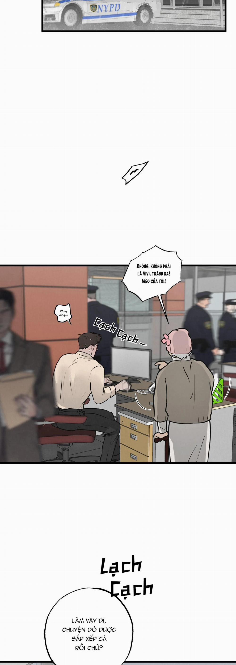 Cặp Đôi Hoàn Hảo 11 trang 3