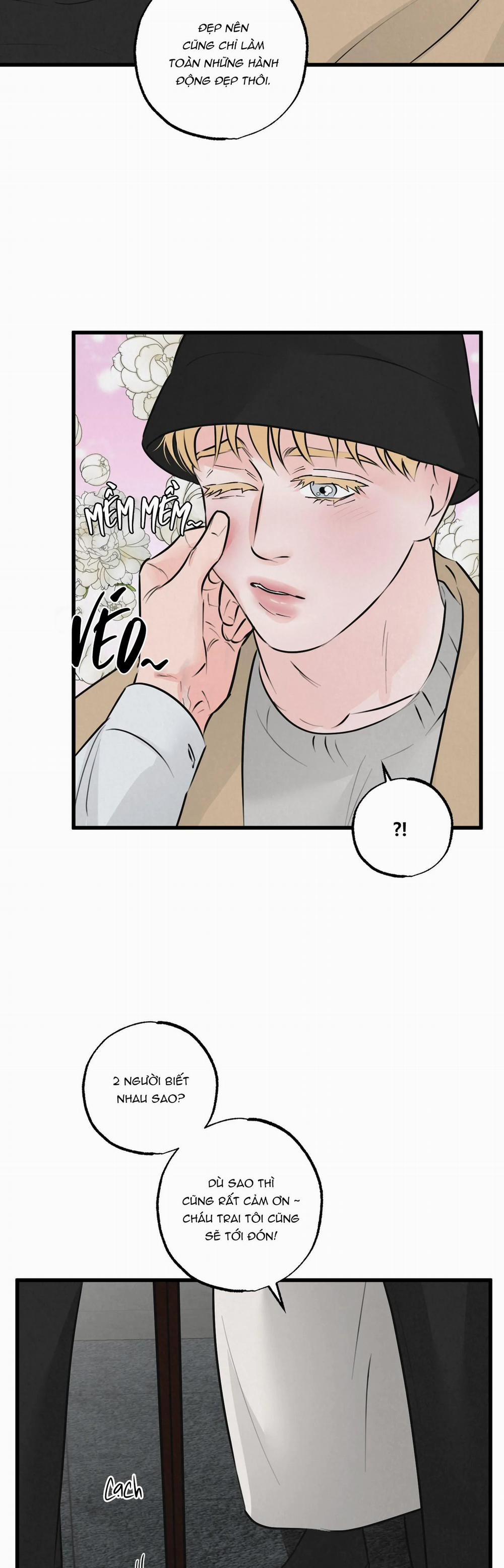 Cặp Đôi Hoàn Hảo 12 trang 27