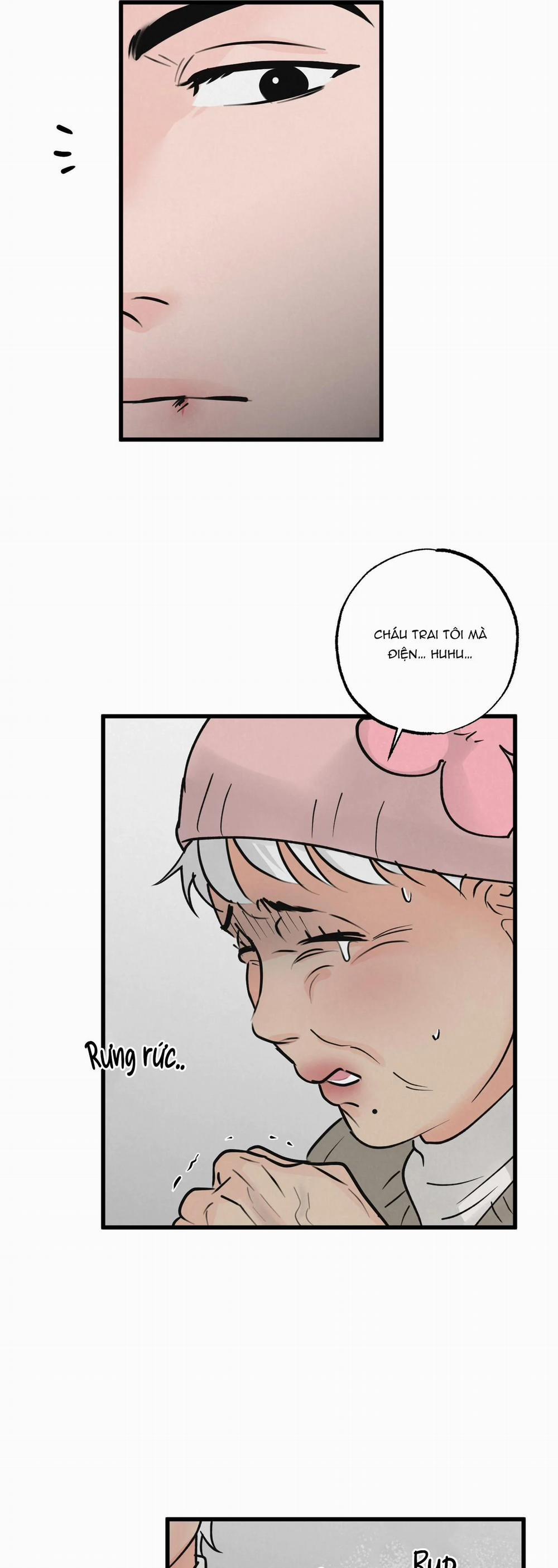 Cặp Đôi Hoàn Hảo 12 trang 8