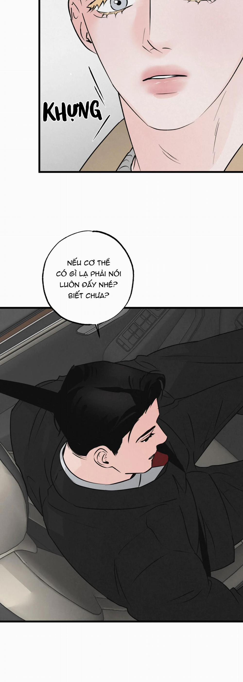 Cặp Đôi Hoàn Hảo 13 trang 13