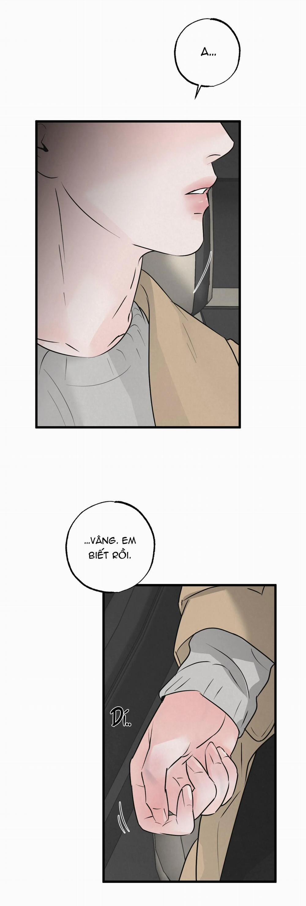 Cặp Đôi Hoàn Hảo 13 trang 14