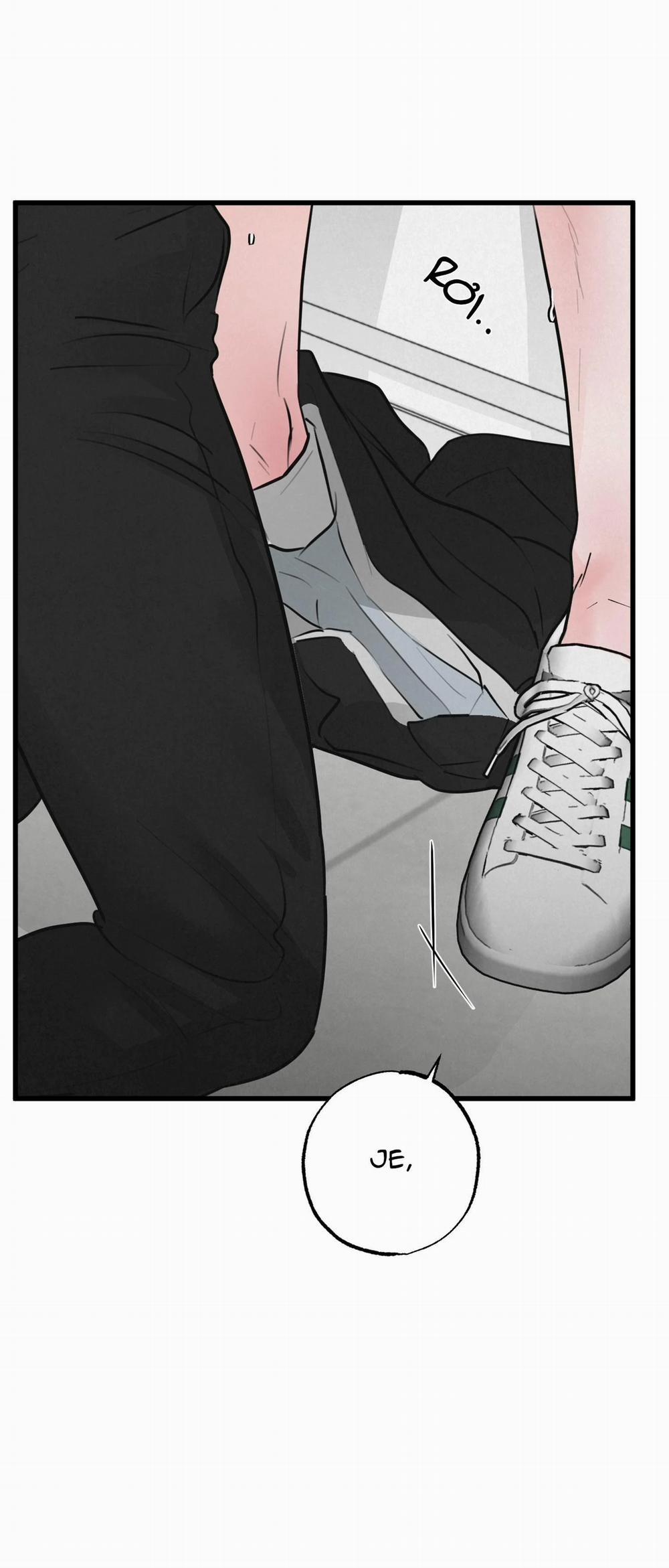 Cặp Đôi Hoàn Hảo 14 trang 3