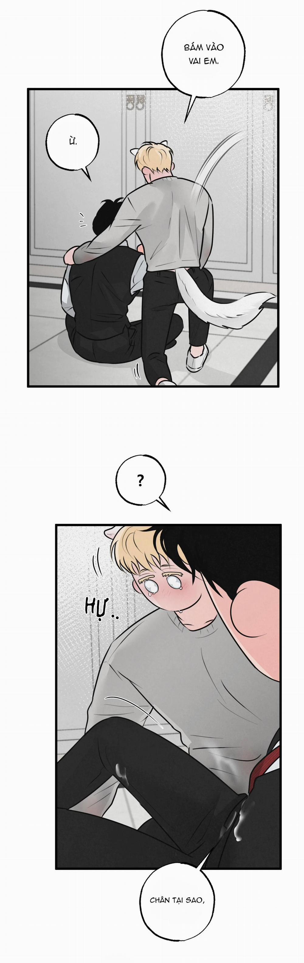 Cặp Đôi Hoàn Hảo 15 trang 10