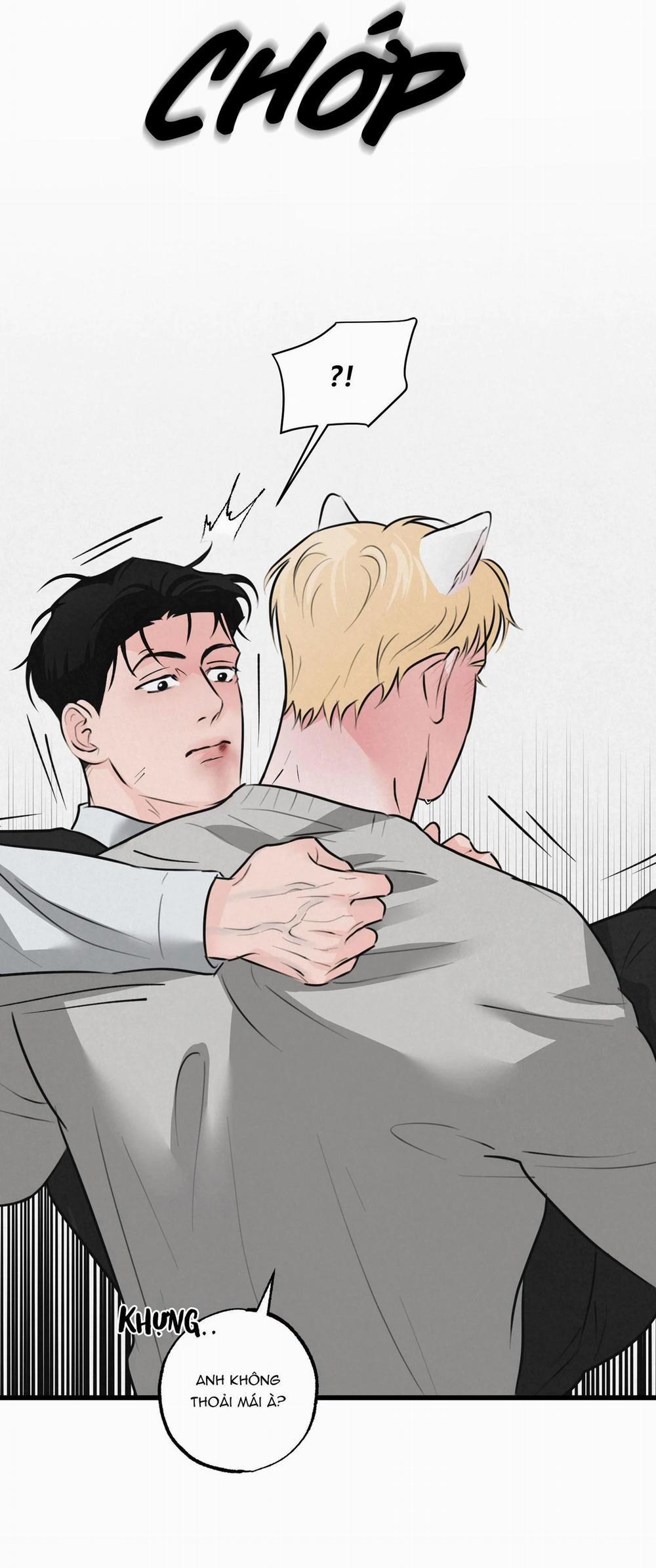 Cặp Đôi Hoàn Hảo 15 trang 11