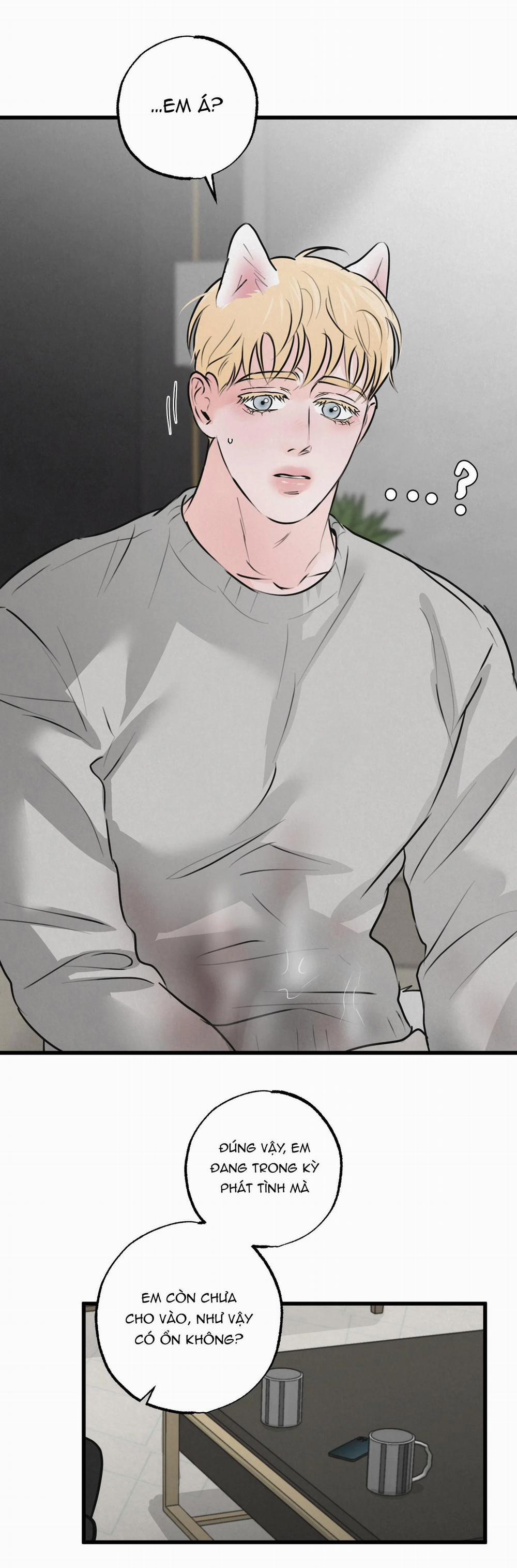 Cặp Đôi Hoàn Hảo 15 trang 19