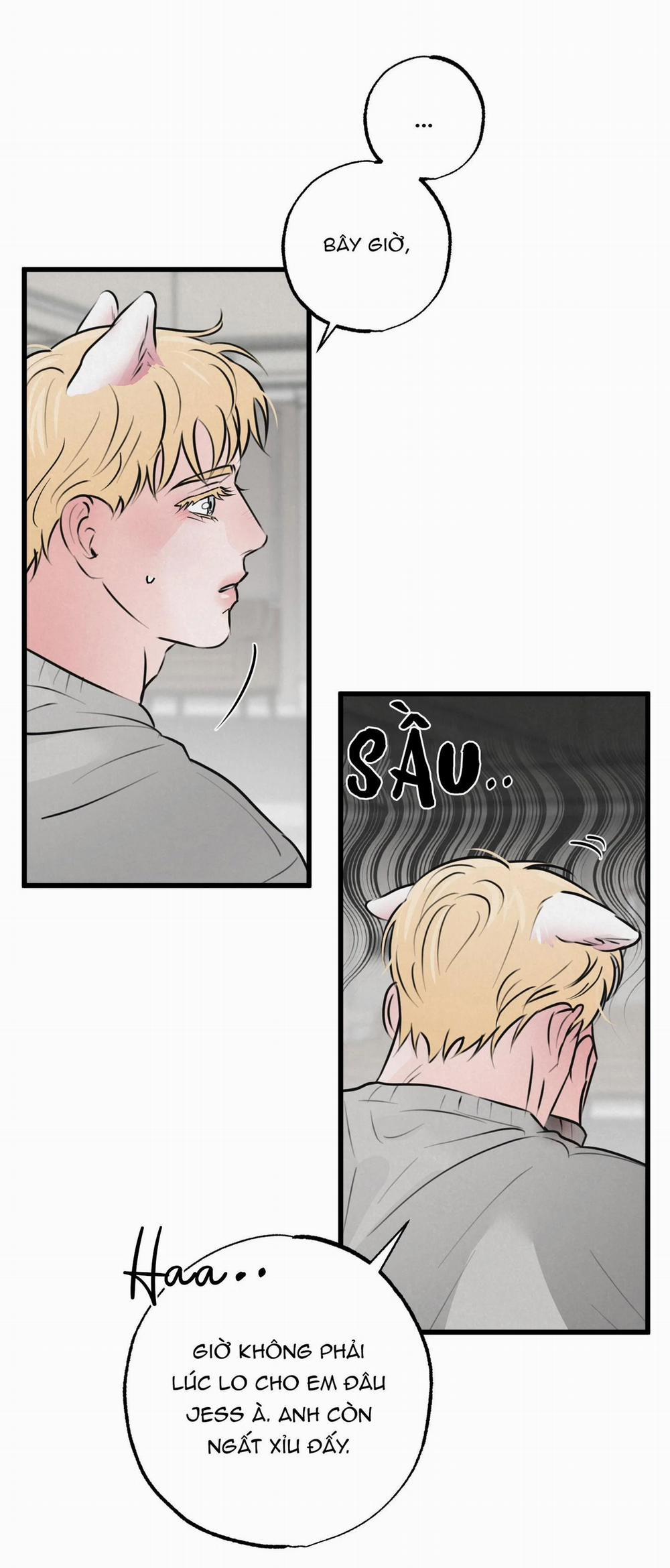 Cặp Đôi Hoàn Hảo 15 trang 20