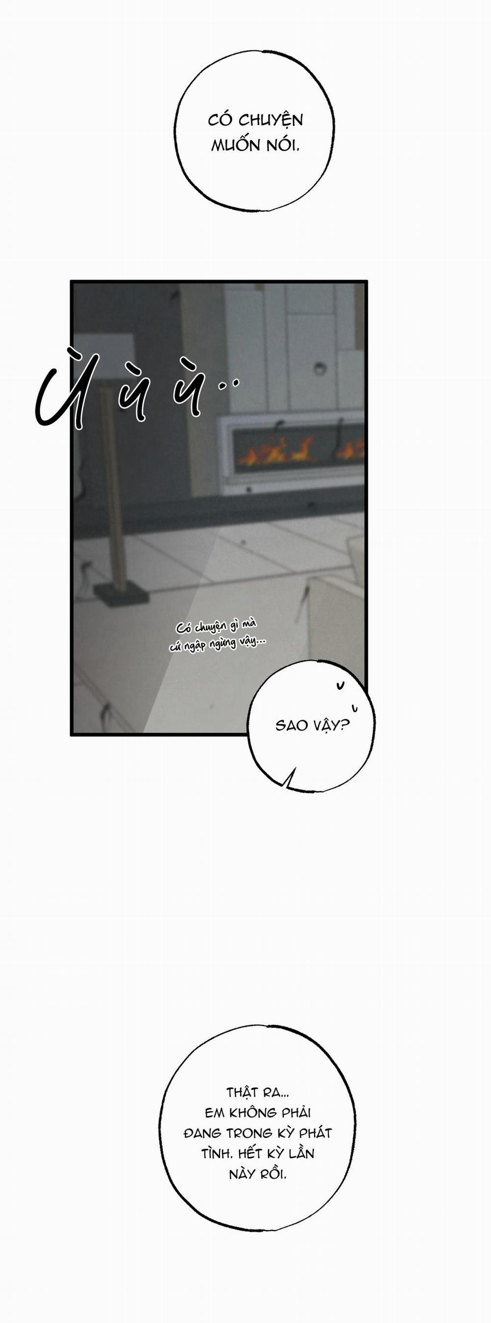 Cặp Đôi Hoàn Hảo 15 trang 23