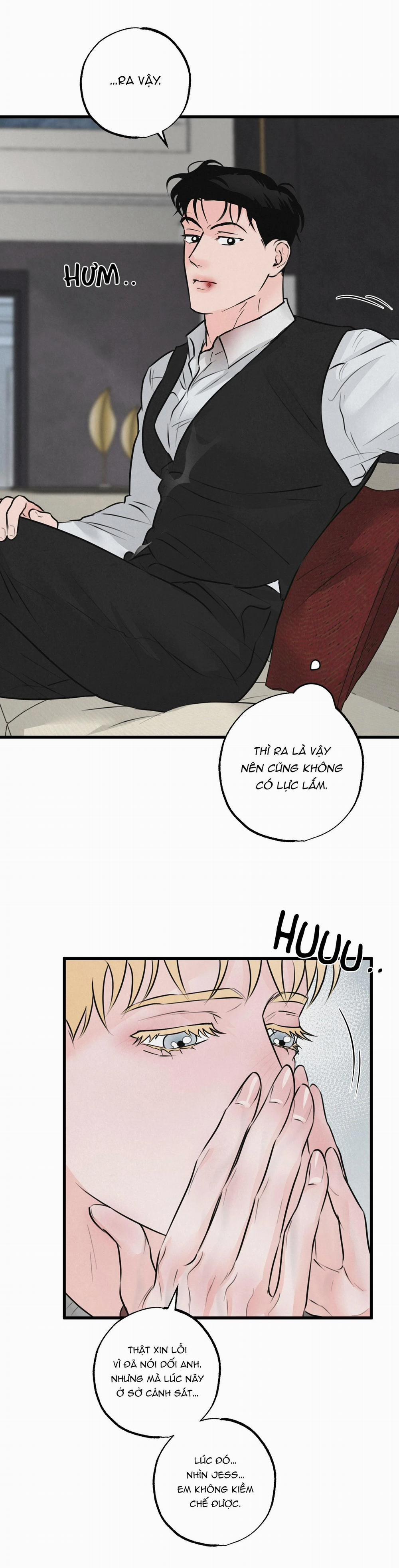 Cặp Đôi Hoàn Hảo 15 trang 24