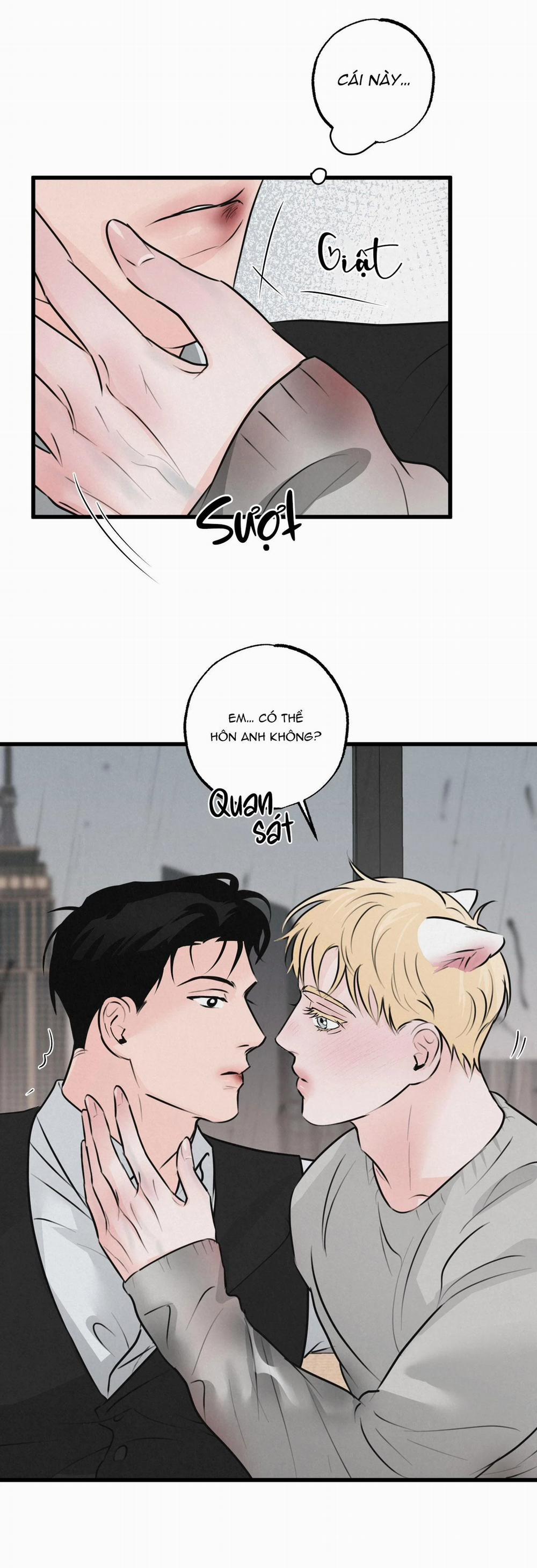 Cặp Đôi Hoàn Hảo 15 trang 31